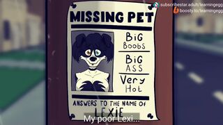 Find a pet - Teaser