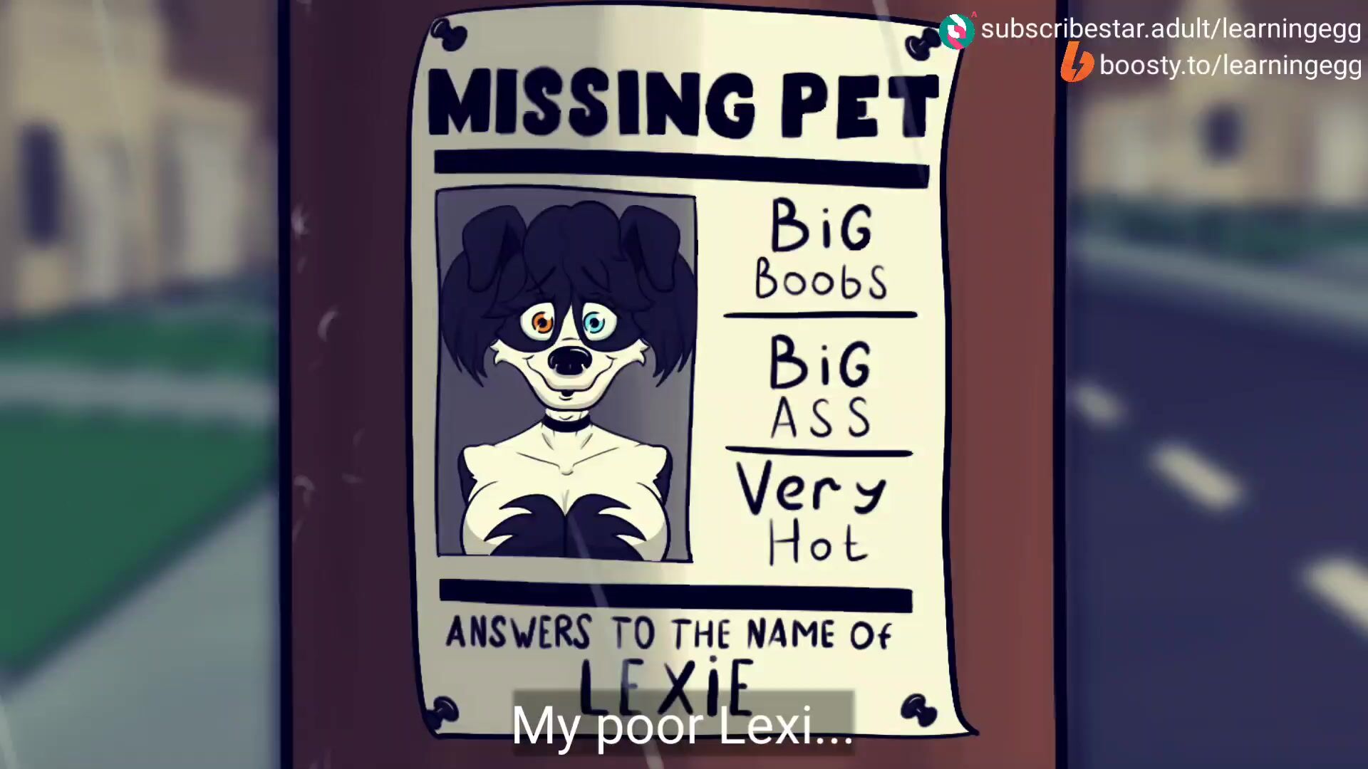 Find A Pet - Teaser