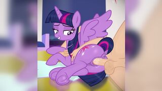 Twilight's New Study
