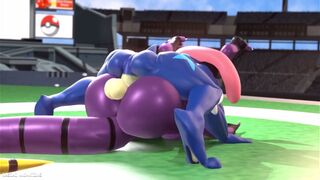 Arbok vs greninja