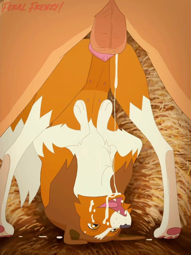 Human Male x Lassie [Paloma-Paloma]