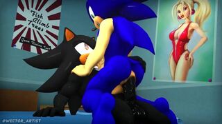 Sonic Riding Shadow