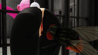 Escape From Prison (Insect) / 刑務所からの脱出（虫）