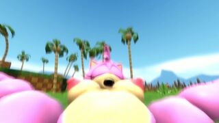 Amy Rose POV