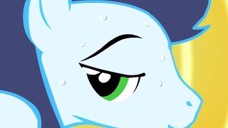 Soarin Wonderbolts Pantsu