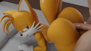 Tails From Behind [primocreatore]