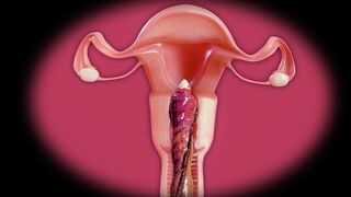 Tifa's perfect pussy filled (X-ray version)