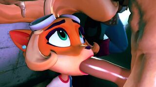 MacstarVA (Crash Bandicoot) Compilation