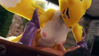 renamon riding pov furromantic