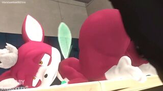 Sonic Porn Compilation