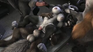 H0rs3 Compilation (Straight & Futa)