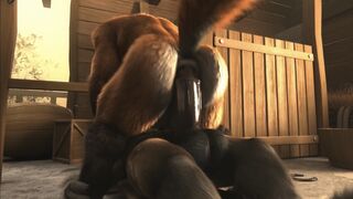 H0rs3 Compilation (Gay)