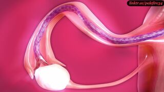 (X-ray) Tentacles conquer Tifa's womb