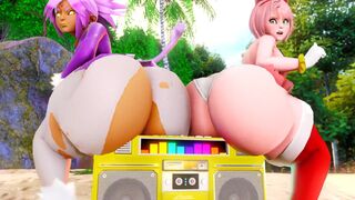 Blaze & Amy Rose Twerking