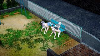 historia de familia 22