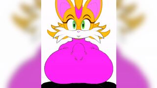 Bunnie Rabbot Played with Marcos The Hedgehog