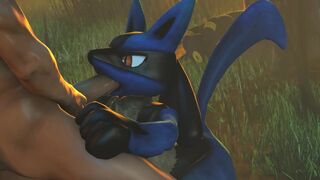 Wild Lucario [P812P]