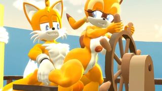 Tails And Marine