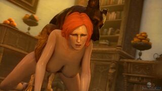 Triss X Dog [Preggo] [Loop]