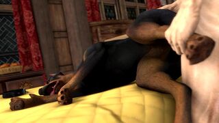 Man Fucking a Doberman (Scrungusbungus)