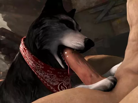 480px x 360px - Husky Fuck Completion (Scrungusbungus)