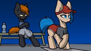 [Tarantuloo] - Exercises pause