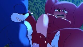 Sonic and Knuckles [Krazyelf]