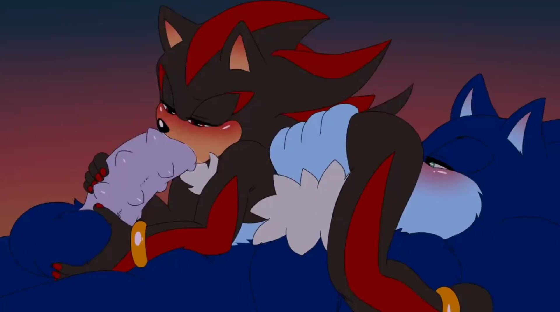 Werehog sonic x shadow