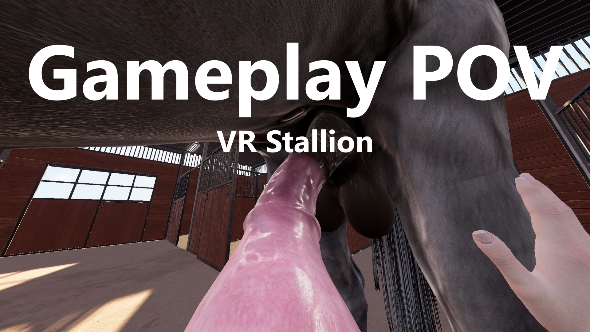 Gameplay Dektop POV | VR Stallion