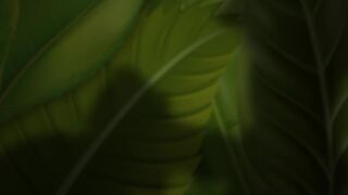 Tarzan: Surprise Of The Jungle