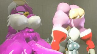 [Megaswitchsfm] Amy, Wave and Tangle 5-B