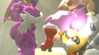 [Megaswitchsfm] Amy, Wave and Tangle 6-B