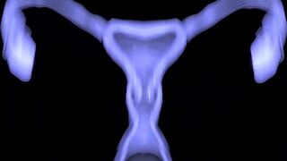 [Kx2-SFM] Wolf x Alilkira Part 2 (edit)