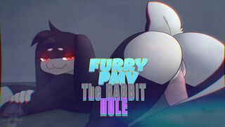 FURRY PMV: Rabbit Hole