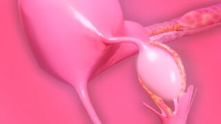 Aerith - Forced Ovulation and Impregnation