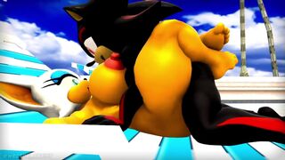 Shadow amd Rouge in the beach