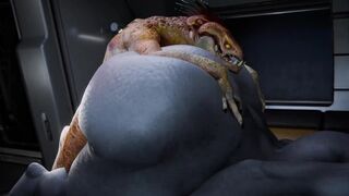 In sesion with Sangheili