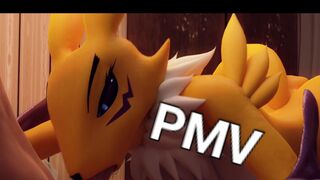 Fingerbang HMV - RENAMON PMV