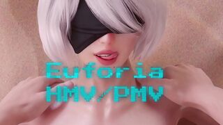 Euforia HMV/PMV