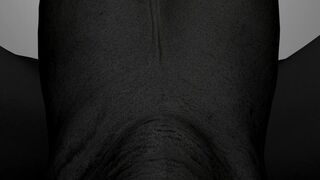 3e Upside Down - VSH