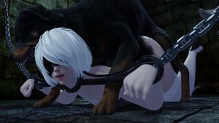 2b trapped and used by dog