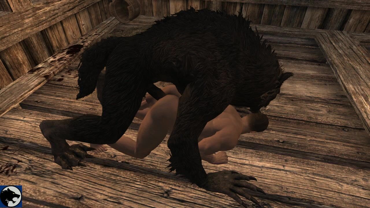 Meeting with the wolf