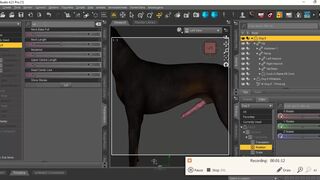How to add the cockorama k9 cock to Daz Dog 8