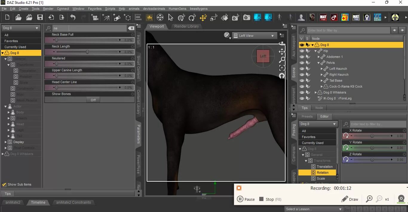 How to add the cockorama k9 cock to Daz Dog 8