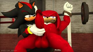 Shadow and Knuckles