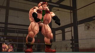 Street Fighter-Cammy (9s)