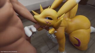 Renamon pussy cream