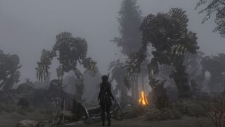 Final Wishes (Part 2)