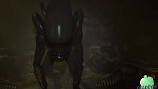 In The Hive『DeaddyM』