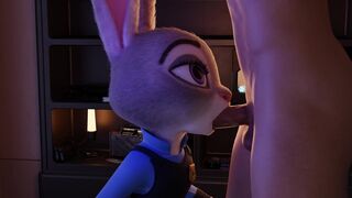 Judy Comp Warm